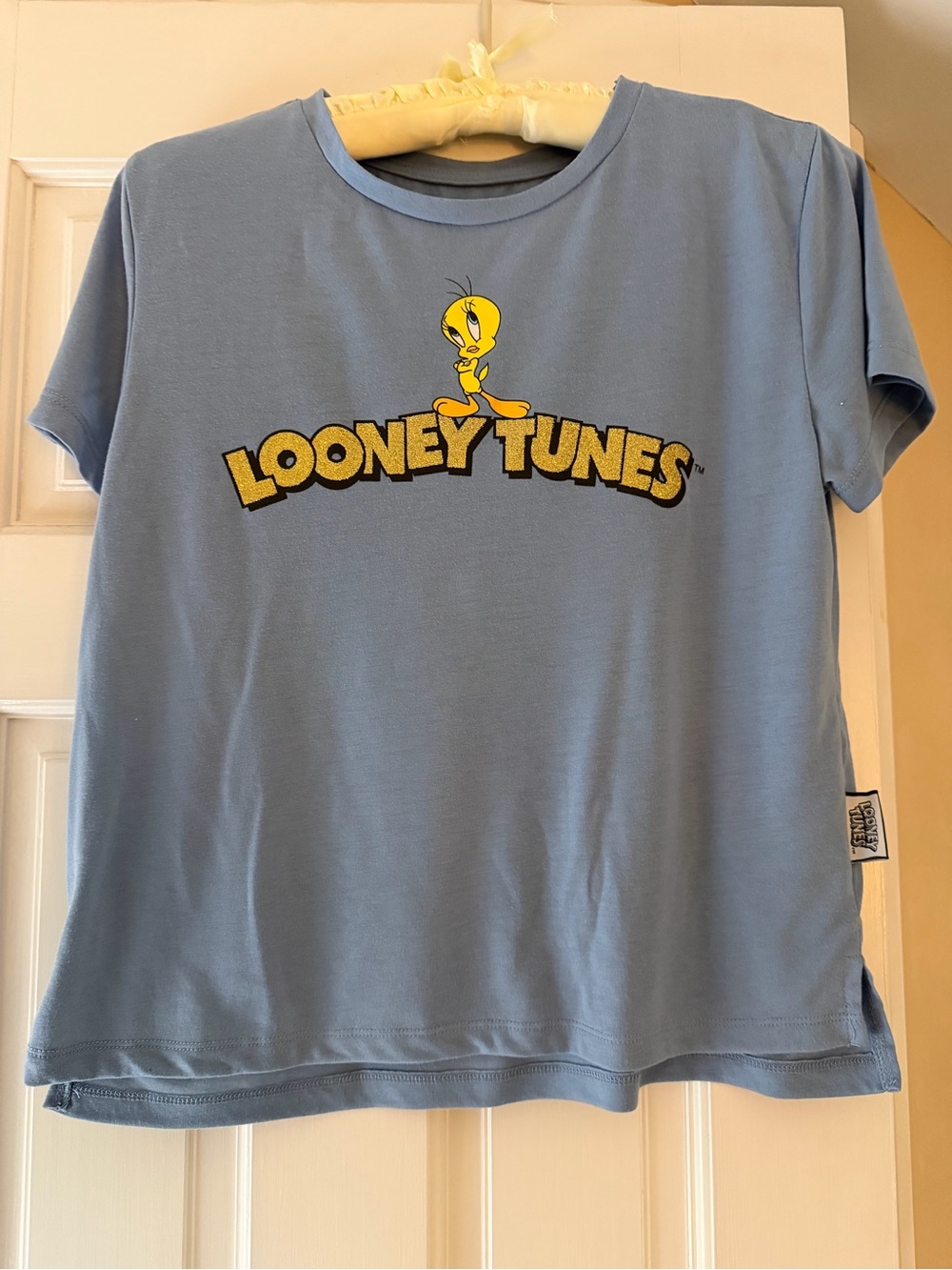 Looney Tunes Light BlueTweety Short Sleeve Tee with back graphic
